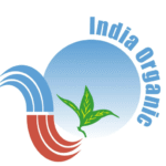 Screenshot-2025-03-04-175847